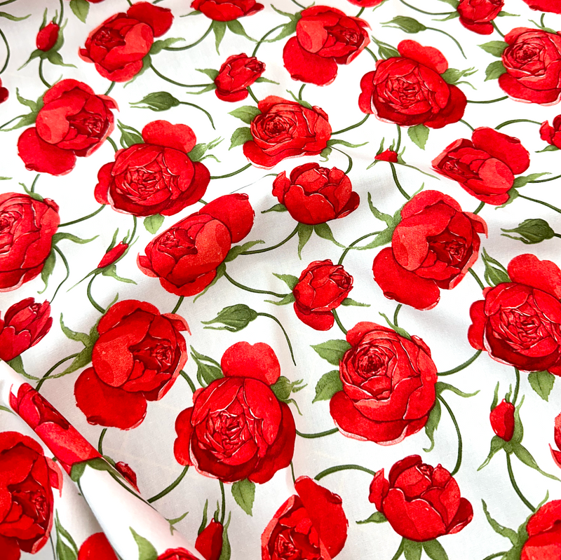 Ivory Bold Roses 100% Cotton Poplin Sold Per 1/2 Metre 112cm Wide